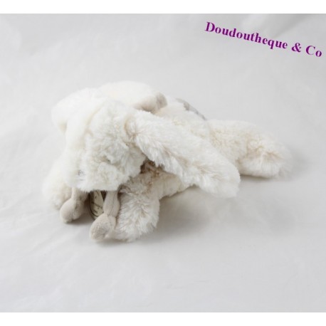 DouDou coniglio candy BLANKIE e mia piccola azienda di Mole bianco 18 cm