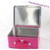 Prinzessin Pfirsich NINTENDO DS Metall Box Koffer Super Prinzessin Pfirsich