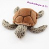 Red green sea turtle brown shell 30 cm