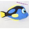 Yellow blue HB LEISURE fish