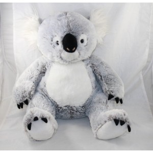 White grey koala animal...