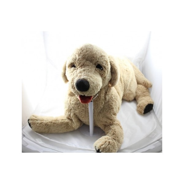 GOSIG GOLDEN Soft toy, dog/golden retriever, 15 ¾ - IKEA