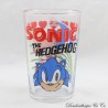 Erizo de cristal Sonic SEGA Sonic el erizo con corazones Amy 10 cm