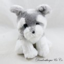 Perro de peluche TY Harper Gris Grandes Ojos Azules