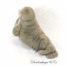 Willie Walrus Plush JELLYCAT Cocoa Long Tusks 26 cm