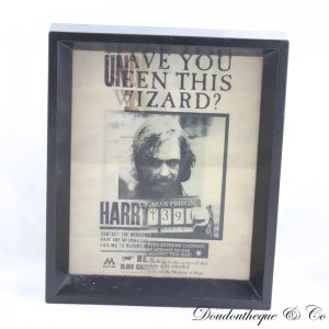 Cadre 3D Sirius Black Harry Potter affiche wanted