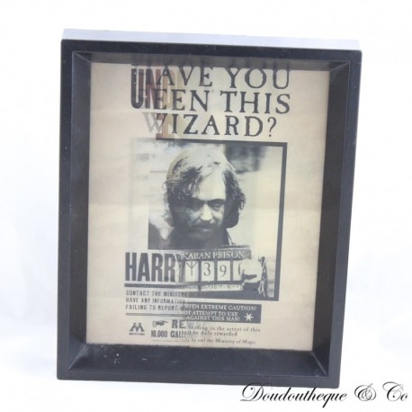 3D Frame Sirius Black Harry Potter Poster Wanted