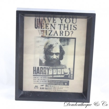 Cadre 3D Sirius Black Harry Potter affiche wanted