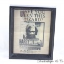 3D-Rahmen Sirius Schwarzes Harry Potter Poster gesucht