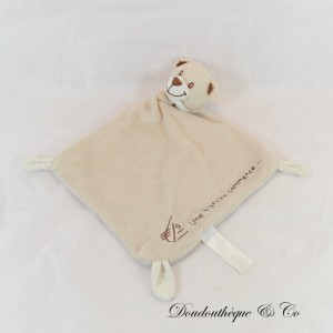 Osito de peluche Flat AHORRO EN EFECTIVO Comienza una historia... publicidad