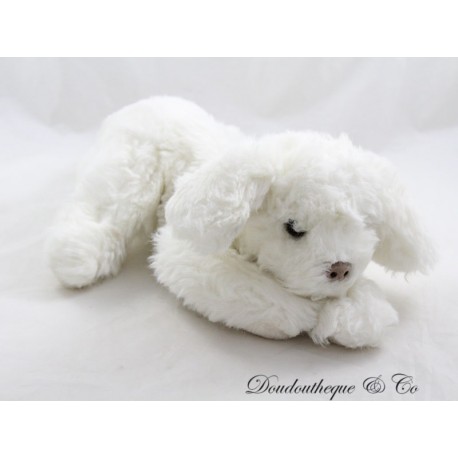 Chien peluche blanc shop