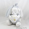 Musical Plüsch Bär MAX & SAX Kreuzung Kapuze Grau Kaninchen Stern Drachen Mond 25cm