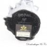 Die Coup de Feu NOBLE COLLECTION Harry Potter