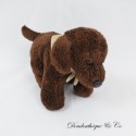 LASCAR Blindenhunde PACA 16 cm