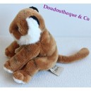 Doudou Lion Marionnette Histoire D'ours