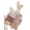 Les Lapin Sable